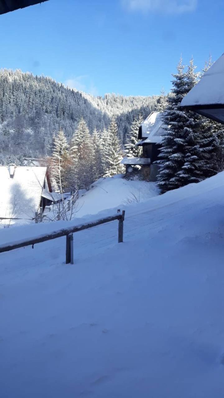 Elena * Kopaonik